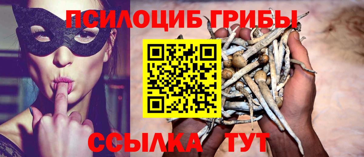 Псилоцибиновые грибы MAGIC MUSHROOMS  Вход с VPN  Краснокаменск 